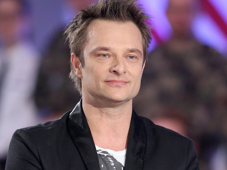 David Hallyday fortune