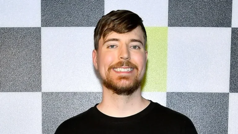 fortune mr beast