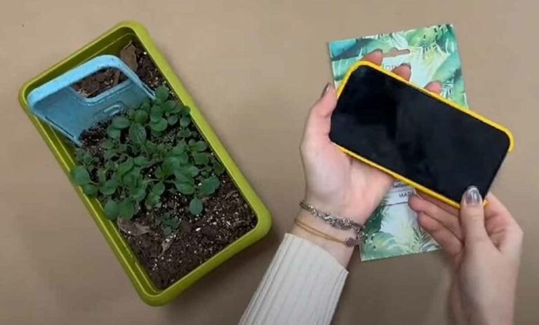 Protéger un objet précieux : quel matériau de coque pour smartphone est vraiment le plus rentable ?