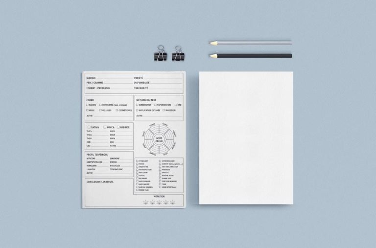 Facture autoentrepreneur : comment l’établir rapidement et sans erreur ?